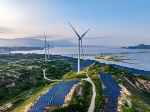 Renewable Materials Science