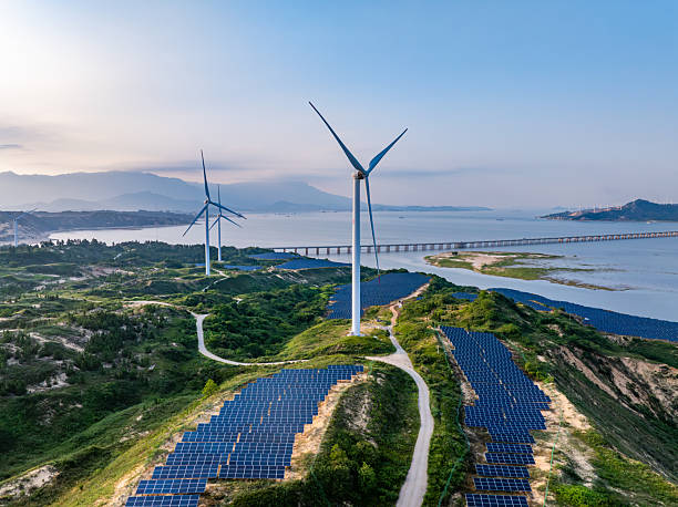 Renewable Materials Science